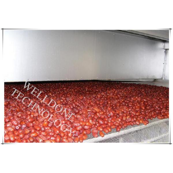 Quality Pigment Continuous Conveyor Dryer , DWF Series Conveyor Drying Oven for sale