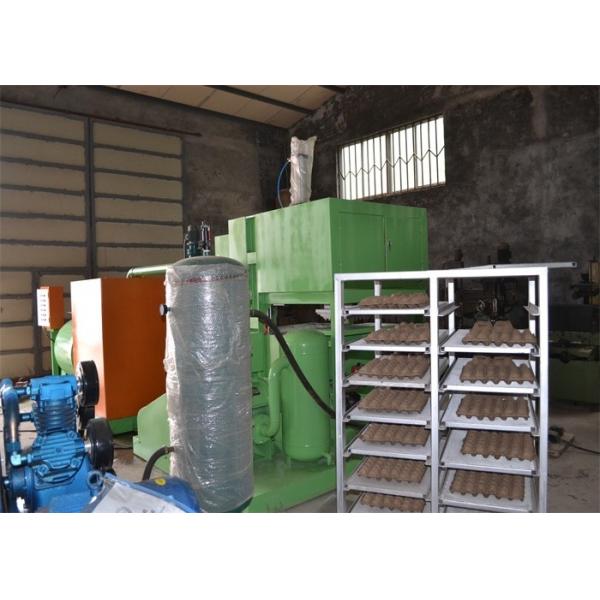 Quality Paper Pulp Molding Machine Egg Tray Manufacturing Machine Low Energy Consumption for sale