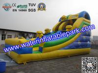 China Inflatable Water Slide For Amusement Park / Inflatable Pool Slide factory