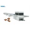 China Stainless Steel Automatic Chocolate Making Machine Dipping Way Smooth Run factory