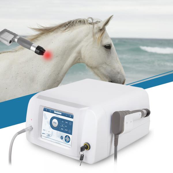 Quality Veterinary Chiropractic & Animal ESWT Machine Acoustic Wave Massager for sale