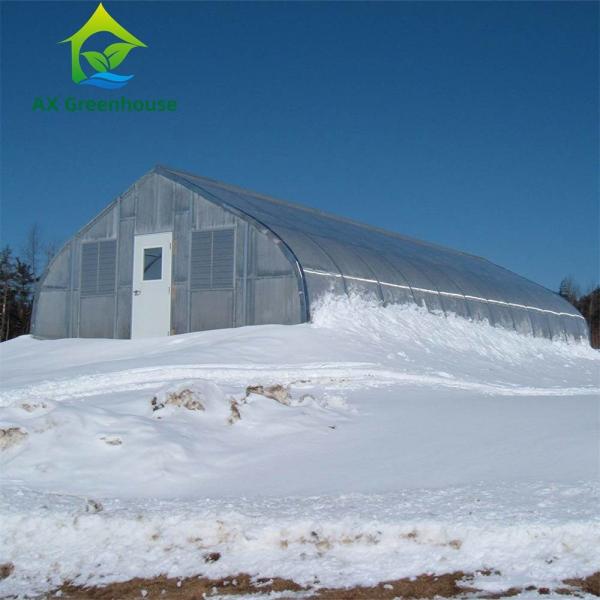 Quality 9.6m Width Peach Type Roof PC Sheet Greenhouse Hot Galvanized Pipe Greenhouse for sale