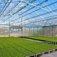 China Commercial Glass Multi Span Greenhouse Agricultural Plants Cultivation factory