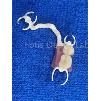 China Customizable Comfortable Removable Partial Denture For Stable Teeth Replacement factory
