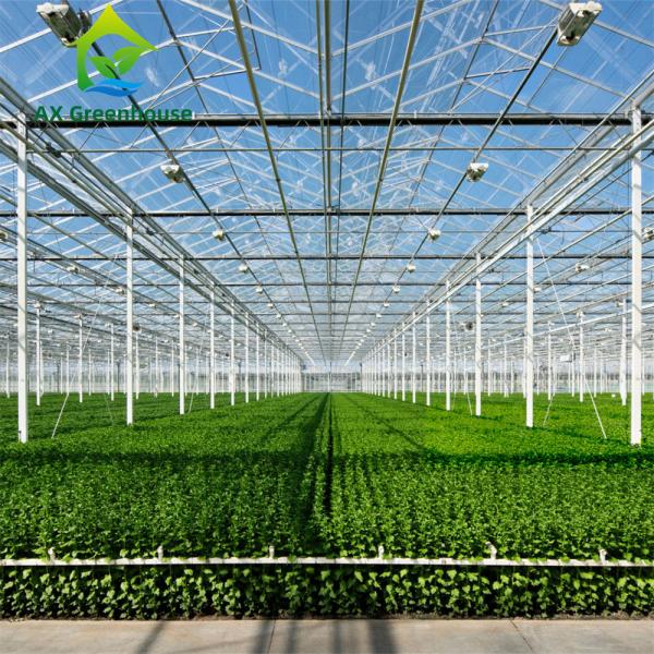 Quality ODM Industrial Agricultural Glass Greenhouse for sale