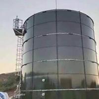 China Giant Cow Manure Methane Digester ASBR Anaerobic Sequencing Batch Reactor factory