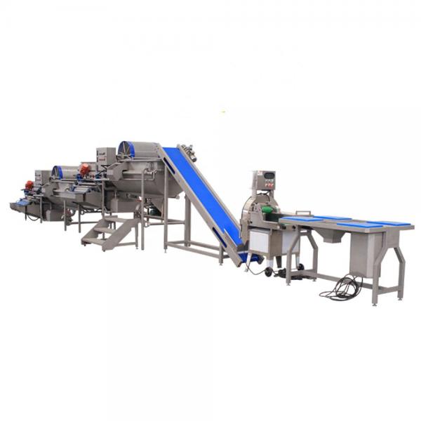 Quality Electric Fruit Vegetable Processing Machine Kitchen OEM ODM  1.75L for sale