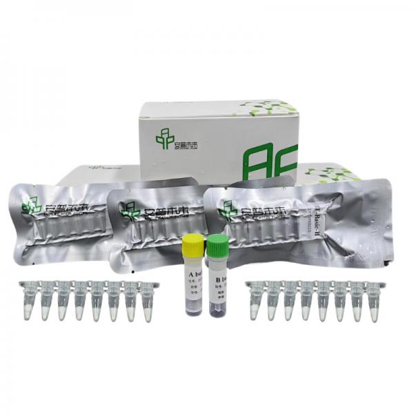 Quality High Fidelity DNA Isothermal Amplification Kit 20mins for sale
