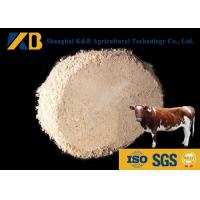 China Non - Allergen Organic Brown Rice Protein Powder / Raw Rice Protein Yellowish Color factory