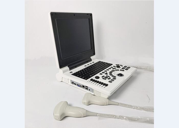 China Handheld Bladder Scanner Portable Laptop Color Ultrasound System with 2 Probe factory