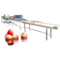 Quality Hot selling Industrial Fruit Washing Machine With A Cheap Price by Huafood for sale