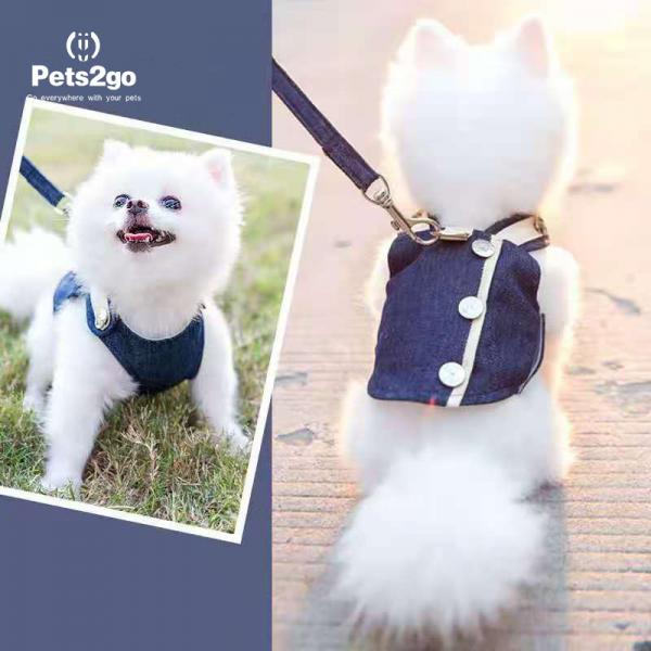 Quality 500g Easy Walk Dog Leash For Samoyed Golden Retriever for sale