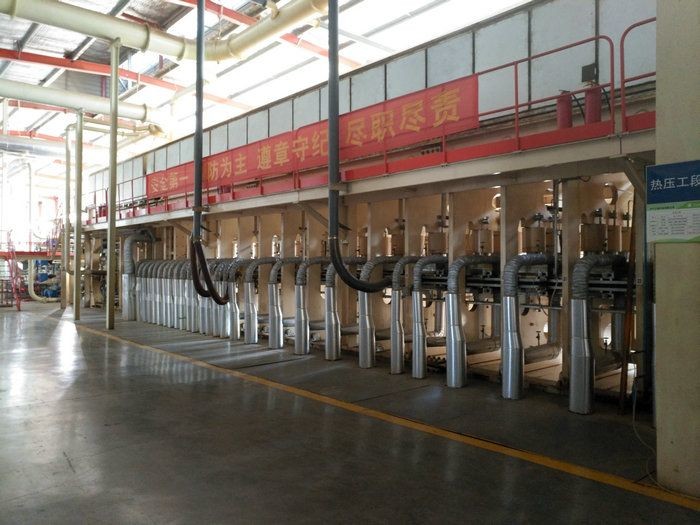 China Efficient 4 Feets 8 Feets Continuous Dynamic Hot Press Line System factory