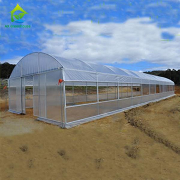 Quality 8x30m Tomato Poly Tunnel Greenhouse 150-200micron Plastic Film Hemp Greenhouses for sale