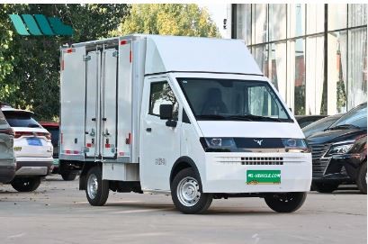 Quality Pure Electric Van Neomor D05 Electric Micro Card Focuses On The Field Of Urban Logistics Distribution, Fense &van Versio for sale