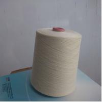 China FR VISOCE High Strength White S Twist Yarn 2 Ply factory