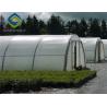 China Agricultural Tomato 12m Single Tunnel Greenhouse factory
