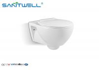 China White Common Wall Mounted WC With Cover Concealed Cistern Washdown SWC925 factory