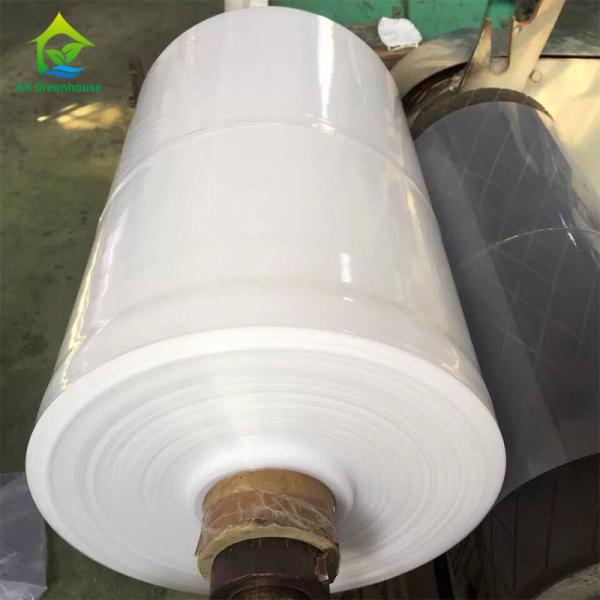 Quality 70%-75% Refractive Polythene Greenhouse Cover Thermal Insulation Film for sale