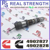Quality QSK23 Cummins Diesel Injector 4902827 4902827NX 4902827PX 4902828 4092827RX for sale