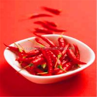China GMP Long Chinese Dried Spicy Chili Peppers May Contain Sulfites factory