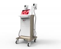 China Hottest coolscuplting cryolipolysis slimming machine zeltiq fat freezing machine weight loss equipment factory