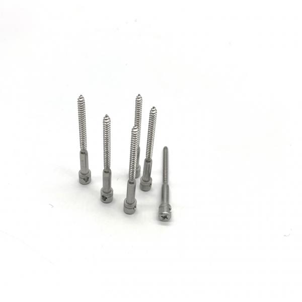 M3*30 Stainless Steel Self Tapping Seal Screw Cross Single Hole Electric Meter Tapping Screw 