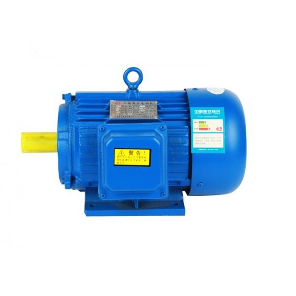 Quality 2 Pole Asynchronous IE3 Motor High Efficiency Three Phase With IEC Standard for sale