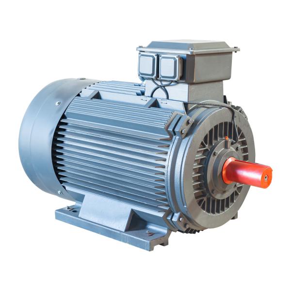 Quality IP55 3 Phase Variable Speed AC Motor Induction Iron Cast 100% Output Power for sale