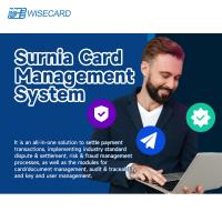 China Modular And Scalable PCI PA DSS Card Management System With English Language Customization factory