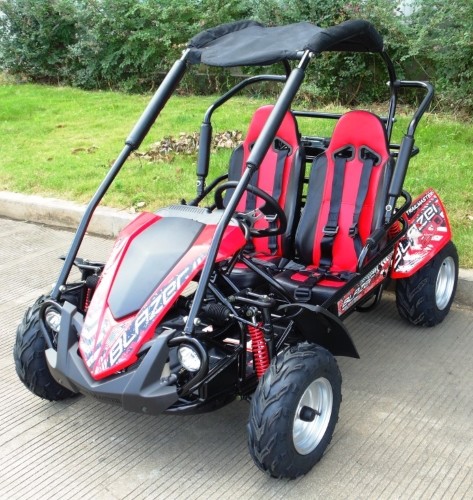 China Forest Road 4 Stroke 200cc 2500rpm Mid Size Go Kart factory