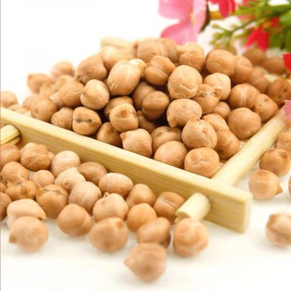 Quality Healthy Roasted Bean Snacks Authentic Roasted Chickpeas Snacks for sale