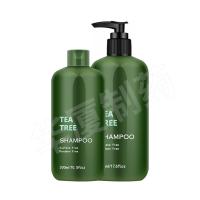 China Tea Tree Aloe Vera Ginger Anti Hair Loss Shampoo Herbal Shea Butter Shampoo for sale