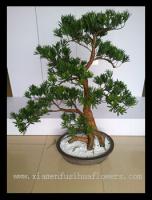 China High Quality Artificial Pine Bonsai for Sale factory