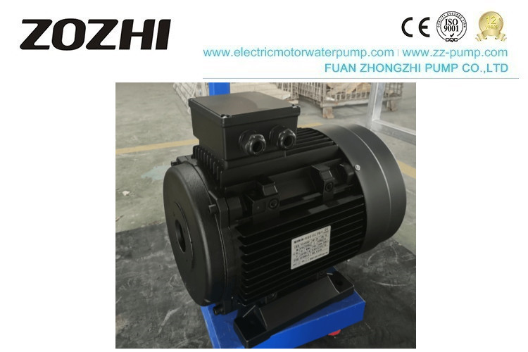 China Cleaning Machine 1450Rpm Three Phase Hollow Motor For High Pressure Washer for sale