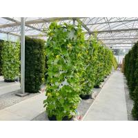 China 100L 6 8 10 12 Layers Growing Towers Vertical Garden Hydroponic Growing System factory