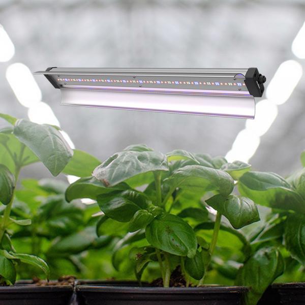 Quality Commercial Plants 60W High Efficiency Horticulture Led Grow Light Tube Samsung for sale
