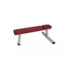 China Professional Commercial Gym Rack And Bench , Weight Lifting Dumbbell Flat Bench factory