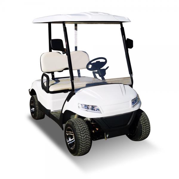 Quality 2 Passenger Terminator 48V Electric Golf Cart New Energy 5KW OEM for sale