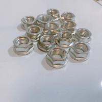 China EN1461 HDG Hexagon nut Strut Channel Nuts Stainless Steel With Long Spring Nut factory