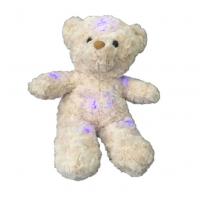 China 0.2M 7.87in Led Light Up Teddy Bear Stars Stuffed Animal That Lights Up Ceiling factory