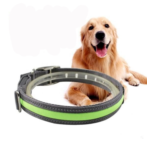 Quality High Visibility Waterproof LED Dog Collar USB Rechargeable Lightweight for sale
