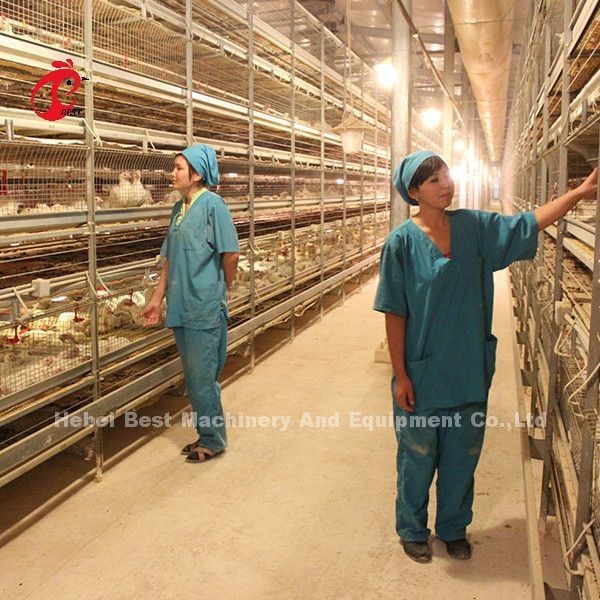 Quality Modern Design H Type Battery Layer Poultry Farm Cage ISO14001 Emily for sale