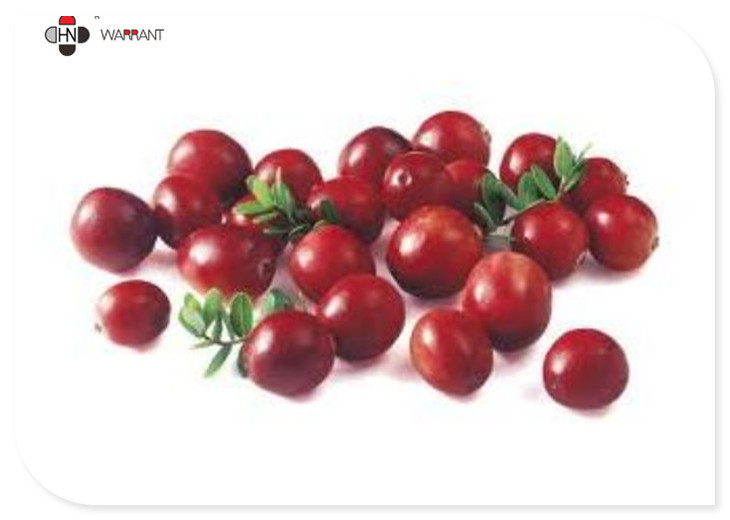 China 10：1 Food Grade Water Soluble Cranberry Extract Powder factory