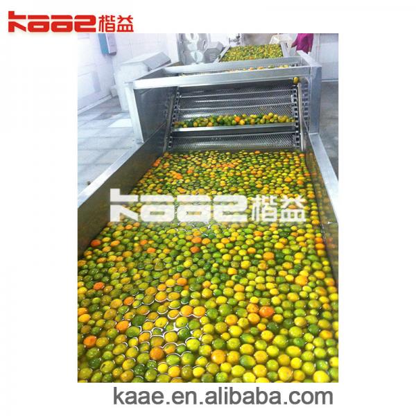 Quality Fruit Pulp Paste Mango Juice Production Line Puree Making Machine 120T/H for sale