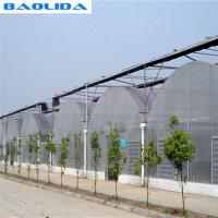 Quality Long Life Span Heavy Duty Plastic Greenhouse High Large Size Available for sale