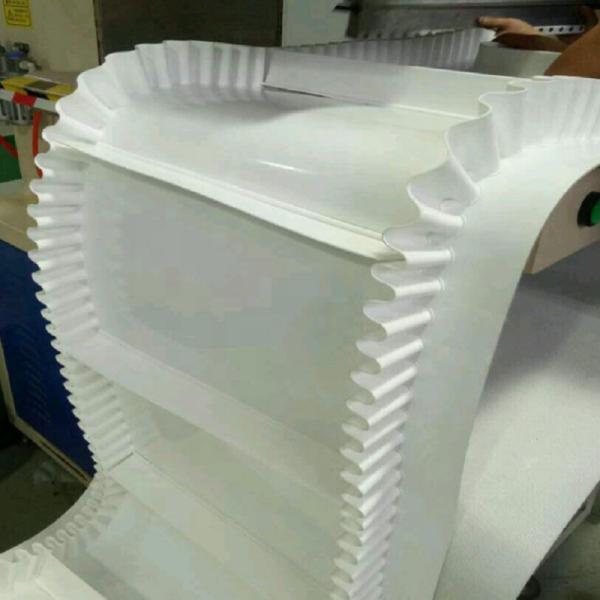 Quality EP ST630 ST800 ST1000 White Skirt Conveyor Belt for sale