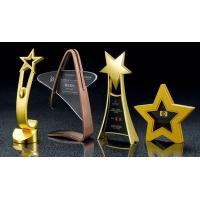 China Star Design Custom Medals And Trophies With 3D Printing From Factory Wholesale factory