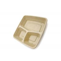 China 9 inch Outdoors Takeaway Food Containers Disposable Lunch Biodegradable Container factory