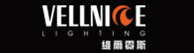 China Vellnice Lighting Company Ltd logo